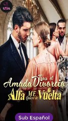 Sub EspaÑOl Amada Tras El Divorcio; El Alfa Me Quiere De Vuelta Serie Completa