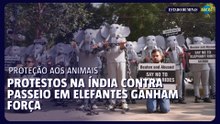 Protestos contra passeios com elefante ganham destaque na Índia