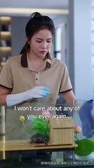 Paws Speak Louder Than Words