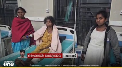 'ആന തുമ്പികൈ കൊണ്ട് തട്ടി, വയനാട് കാട്ടാന ആക്രമണത്തിൽ വയോധികയ്ക്ക് പരിക്കേറ്റു