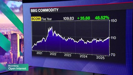 Citi's Chronert Says Inflation Manageable, 'Keen' on Banks