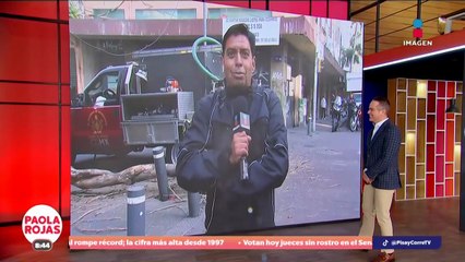 Árbol cae y bloquea vialidad en Cuauhtémoc | DPC con Paola Rojas