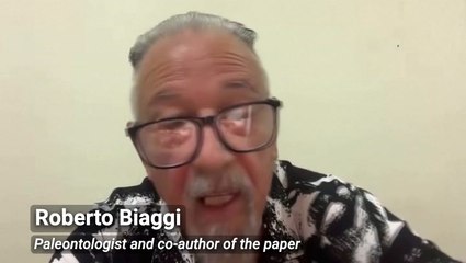 Dinosaurs’ awkward attempts to swim uncovered in record discovery