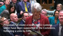 Proposal to create new UK-EU customs union supported by MPs