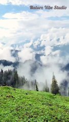 Aesthetic Nature Short Video | Ehd e Wafa |Cinematic Clip | Nature Vibe Studio