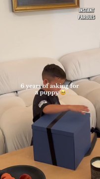 Ce garçon fête son 6ème anniversaire puis découvre une surprise inattendue