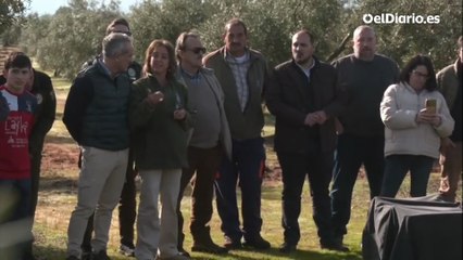 Kai, la lince sin pata que vuelve a la naturaleza tras curarse en el 'hospital' de Los Villares