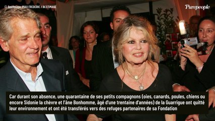 Convalescence agitée pour Brigitte Bardot après ses semaines de prise en charge : les décisions de sa fondation au cœur de l'affaire