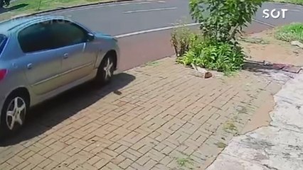 Vídeo mostra momento em que Peugeot pega fogo; Vítima morreu carbonizada