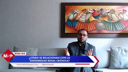 Enfermedad Renal Crónica