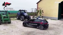 Trattori rubati e inviati in Albania, smantellata banda nel Modenese