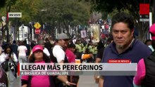 Aumenta llegada de peregrinos a la Basílica rumbo al 12 de diciembre en CDMX