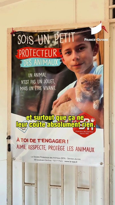 [GUYANE] La SPA ouvre un dispensaire en Guyane