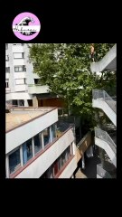 Le saut parfait 💥 Le mythique Manpower d’Evry des Yamakasi