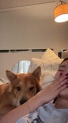 Dog Comforts Owner During Fake Crying