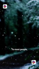 A Love Remembered shortmintz