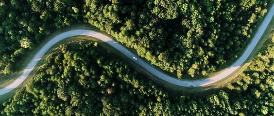 Surrender To It | movie | 2026 | Official Trailer