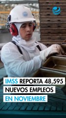 Empleo en México: IMSS registró 48,595 nuevos puestos formales en noviembre