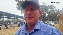 Euroa female weaner sale