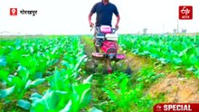 सब्जियों की खेती कर बनिए मालामाल; 3 महीने में ही 10 लाख की कमाई, पढ़िए मॉडर्न Technology ने कैसे खोला तरक्की का रास्ता?