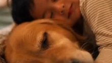 In a moment filled with tenderness, the little boy falls asleep next to his faithful dog, a sight that melts hearts and shows the depth of their friendship. 🐶❤️ #dog #baby #puppy #ai
