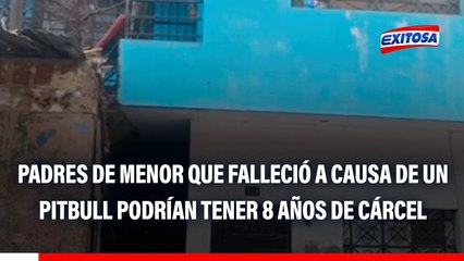 Menor asesinada por pitbull: Si no estaba el papá o la mamá podría significar 8 años de cárcel, asegura abogado