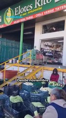 Hojas que abrazan el sabor: Así nacen los tamales navideños