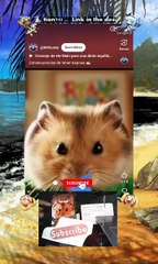 Like & Subs 😜  #shorts #viralvideos #trending #funnyshorts #shortsfeed  #memes #funny #anime