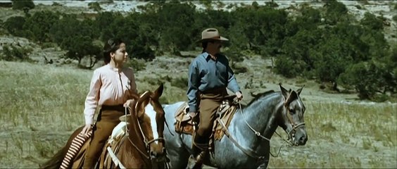 Arráncame la vida  2008 ‧ Romance/Drama ‧