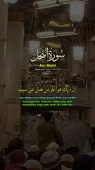 Surah_ul_ Nahl #quran #quranrecitation #quranstatus #qurantilawat #qurantranslation #quranverses