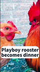 Locked At Home By Wife But Dares To Steal Roast Chicken? Buddy’s Rescue Turns Into Desertion🤣