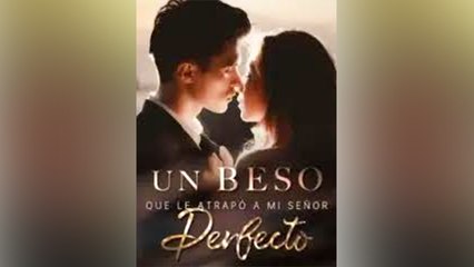 Atrapada por el Señor Perfecto