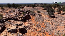 Cobar’s Tasman and Corinya Stations to become new national park