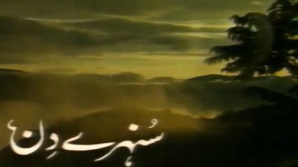 Sunehray Din..  Episode 5  Classic PTV Serial 🎭  Saleem Sheikh  Faraz Inam