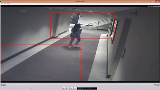 Police Release Surveillance Video Of Kenneka Jenkins