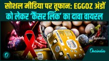 क्या Eggoz के अंडों में मिला ‘Cancer पैदा करने वाला केमिकल’? Viral रिपोर्ट ने उठाए सवाल — जानिए सच