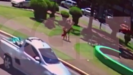 Assustador: Mulher é assaltada e agredida ao sair da Caixa Econômica em Cascavel