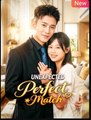 Unexpected Perfect Match Chinese Drama - English Sub