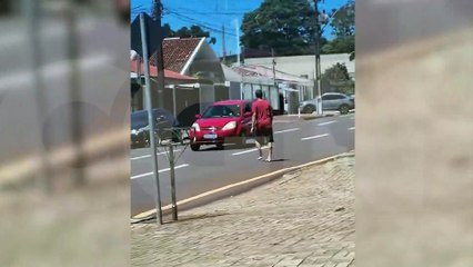 Após assalto na Avenida Brasil, indivíduo é flagrado fugindo com extrema calma