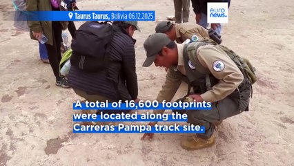 Safe from harm: Study reveals world record breaking dinosaur footprint park protected by mud