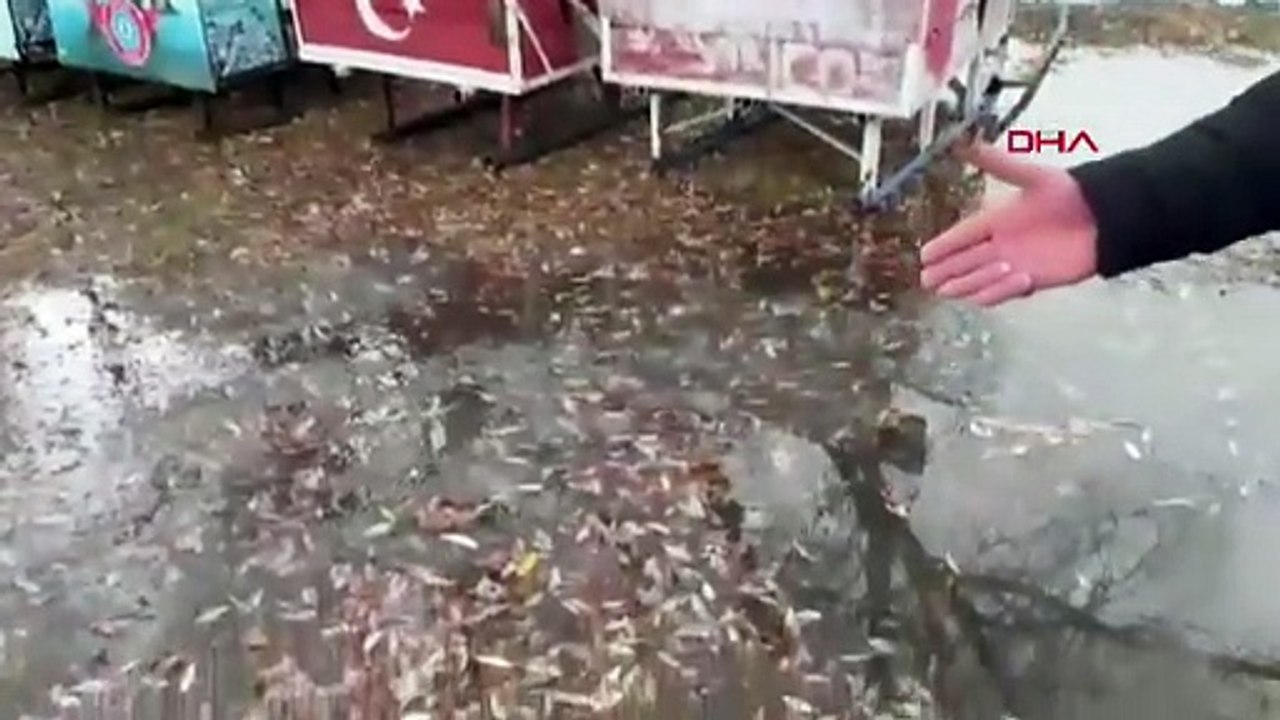 Türkiye'nin kış turizmi cenneti Çıldır Gölü'nde şaşırtan manzara