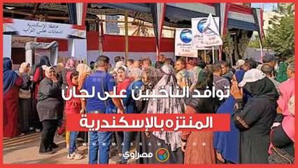 27 مرشح على مقعد واحد.. توافد الناخبين على لجان المنتزه بالإسكندرية| بث مباشر