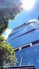 Chica Súper Fuerte Salva al CEO, Él Se Enamora al Instante y La Persigue Para Casarse | Full Movie (Spanish Dub) | Romance & Action HD