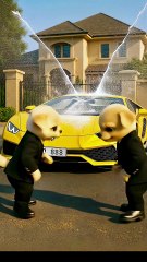 The poor puppy didn't have cash to buy ball so, his rich friends making fun of him