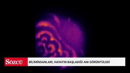 Biliminsanları, hayatın başladığı anı görüntüledi