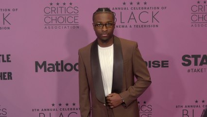 Miles Caton attends the red carpet at the 8th annual celebration of Black Cinema & Television