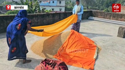 हजारीबाग में परंपरागत तरीके से तैयार होता है 'चावल', स्वाद के साथ पोषक तत्वों से रहता है भरपूर
