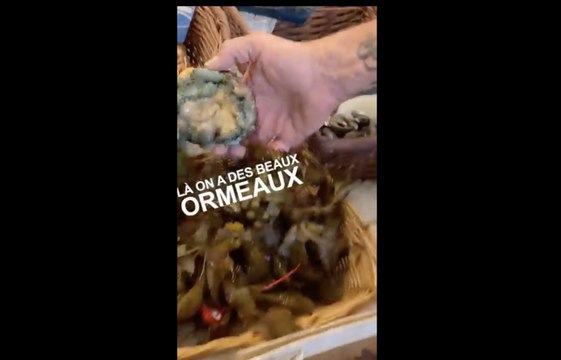 Homard, Saint-Jacques et ormeaux : que manger et à quel prix ?