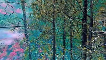 Mrs. Serial Killer - Full Movie - Jacqueline Fernandez & Manoj Bajpayee - Bollywood Crime Thriller - - YouTube