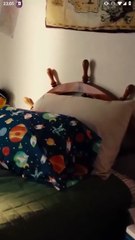 New Beginnings - Full